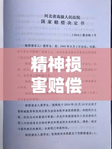 精神损害赔偿解释，理论到实践的综合探讨详解  第1张