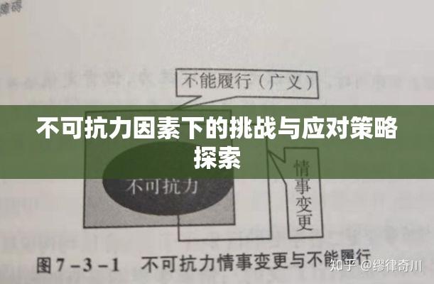 不可抗力因素下的挑战与应对策略探索  第1张