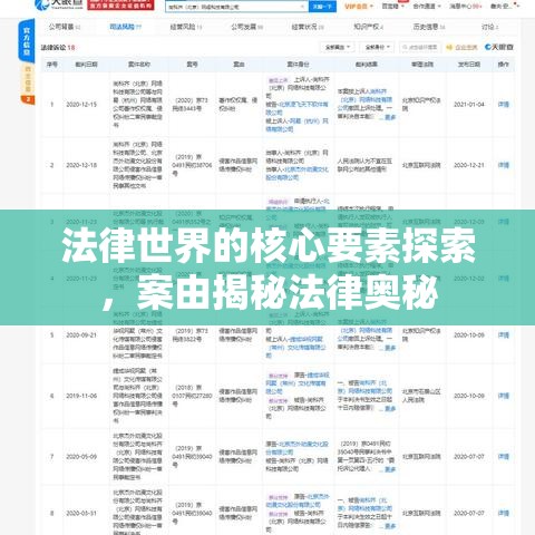 法律世界的核心要素探索，案由揭秘法律奥秘  第1张