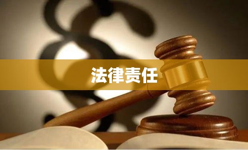 深入解析，故意杀人罪的界定与法律责任  第1张