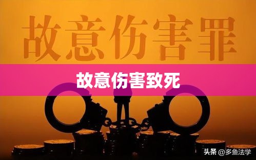 论故意伤害致死，法律、社会与个人视角下的反思与启示  第1张