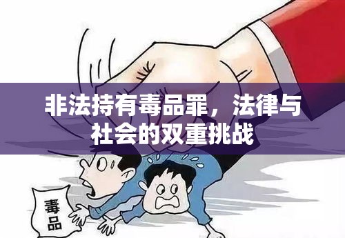 非法持有毒品罪，法律与社会的双重挑战  第1张