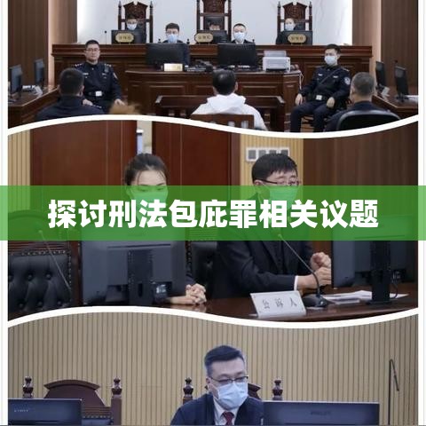 刑法包庇罪深度解析与探讨  第1张