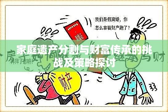 家庭遗产分割与财富传承的挑战及策略探讨  第1张