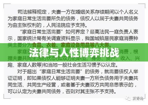 离婚起诉状背后的法律与人性的博弈挑战  第1张