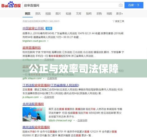 民事诉讼程序，公正与效率的司法保障路径  第1张