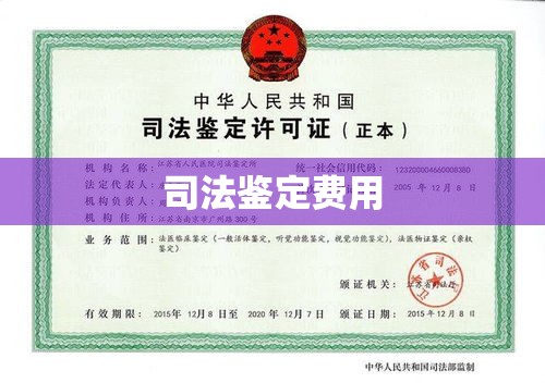 司法鉴定费用探讨，解析与观点汇总  第1张