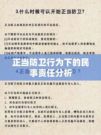 正当防卫行为下的民事责任分析  第1张