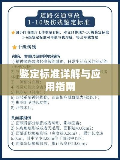 交通伤残鉴定标准详解，理解与实际应用指南  第1张