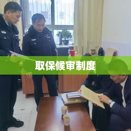 取保候审制度，司法公正与人权保障的平衡艺术实践  第1张