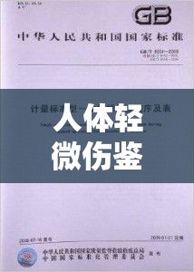 人体轻微伤的鉴定标准、程序及其意义解析  第1张