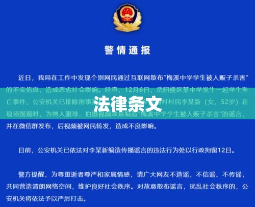 法律条文，社会秩序的稳固基石  第1张