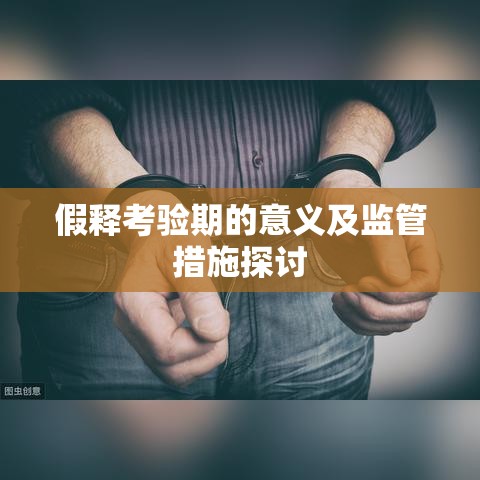 假释考验期的意义及监管措施探讨  第1张