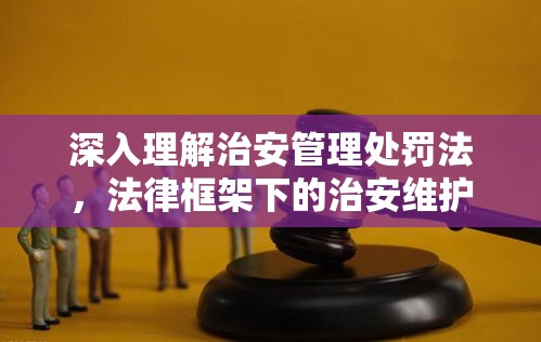 深入理解治安管理处罚法，法律框架下的治安维护与措施解析  第1张