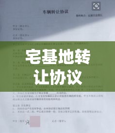 宅基地转让协议，权益保障与责任约束的法律框架探讨  第1张