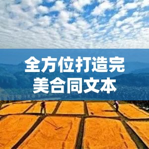 合同范文详解，从结构到细节，全方位打造完美合同文本  第1张