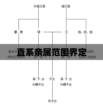 直系亲属范围界定，深度解析与探讨  第1张