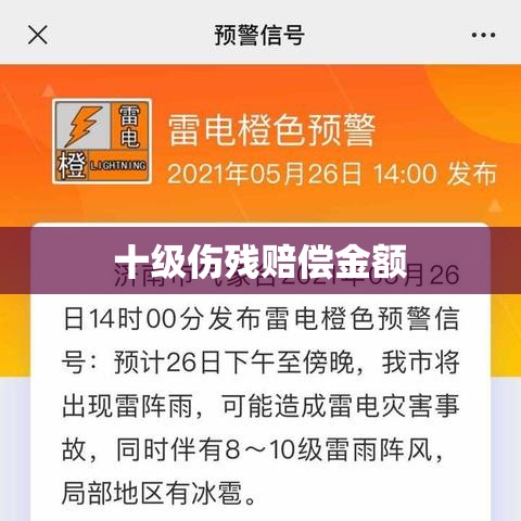 关于十级伤残赔偿金额的研究与探讨——以2021年为背景分析  第1张