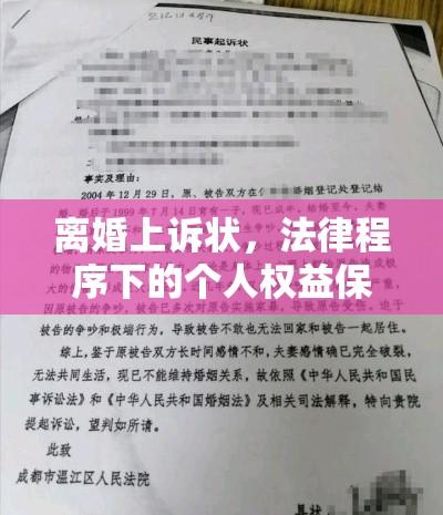 离婚上诉状，法律程序下的个人权益保障与维权之路  第1张