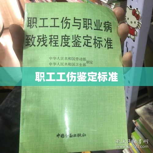 职工工伤鉴定标准全面解析  第1张