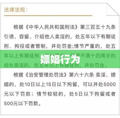 嫖娼行为与拘留制度探讨  第1张