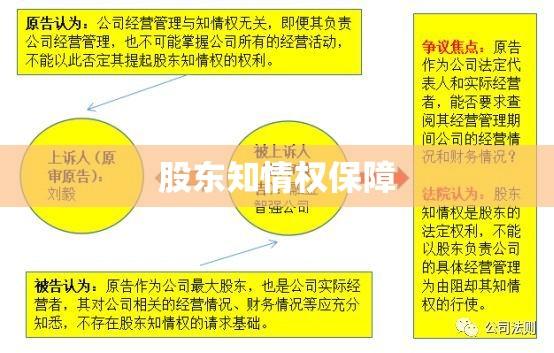 股东知情权的保障与制度完善探索  第1张