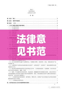 法律意见书范文详解，构建核心要素的专业指南  第1张