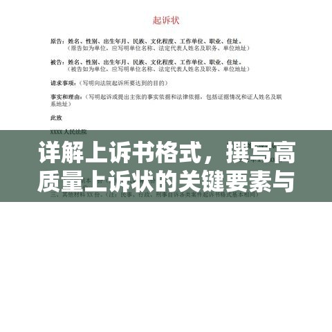 详解上诉书格式，撰写高质量上诉状的关键要素与步骤指南  第1张