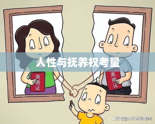 离婚后孩子抚养权的法律与人性的考量  第1张