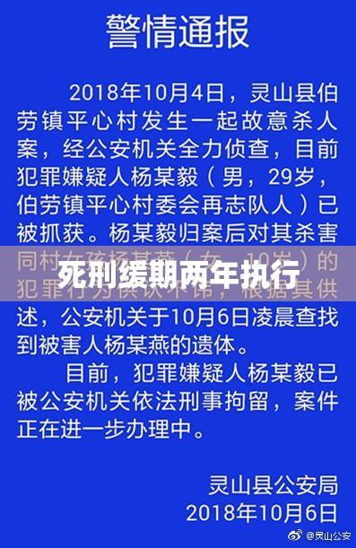 死刑缓期两年执行，法律术语的深度解析  第1张