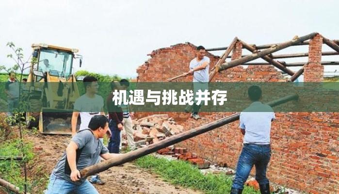 集体耕地上建厂房，机遇与挑战的并存  第1张