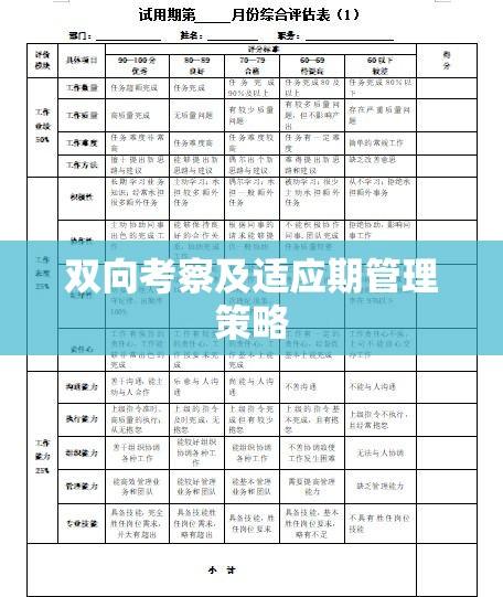 试用期规定，企业与员工的双向考察及适应期管理策略  第1张