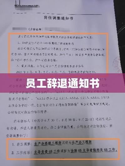 员工辞退通知书背后的意义与解析  第1张