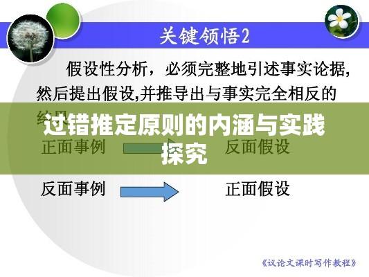 过错推定原则的内涵与实践探究  第1张