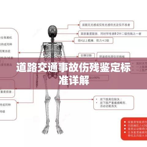 道路交通事故伤残鉴定标准详解  第1张