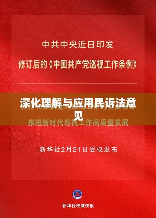 深化理解与应用民诉法意见  第1张