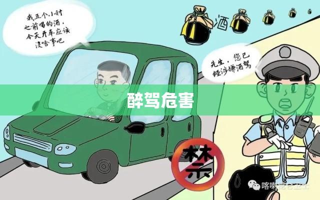 醉驾危害公共安全，警钟长鸣，守护生命安全之路  第1张