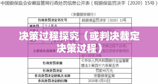 判决裁定的力量，法律实践中的决策过程探究  第1张