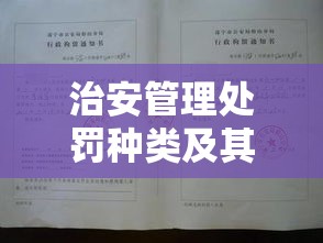 治安管理处罚种类及其应用解析  第1张