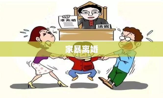 家暴离婚背景下孩子的归属权问题探讨  第1张