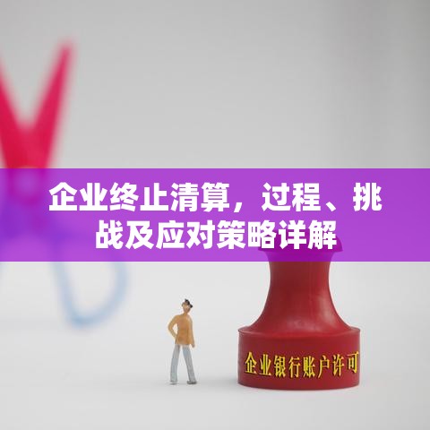 企业终止清算，过程、挑战及应对策略详解  第1张