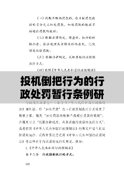 投机倒把行为的行政处罚暂行条例研究综述  第1张