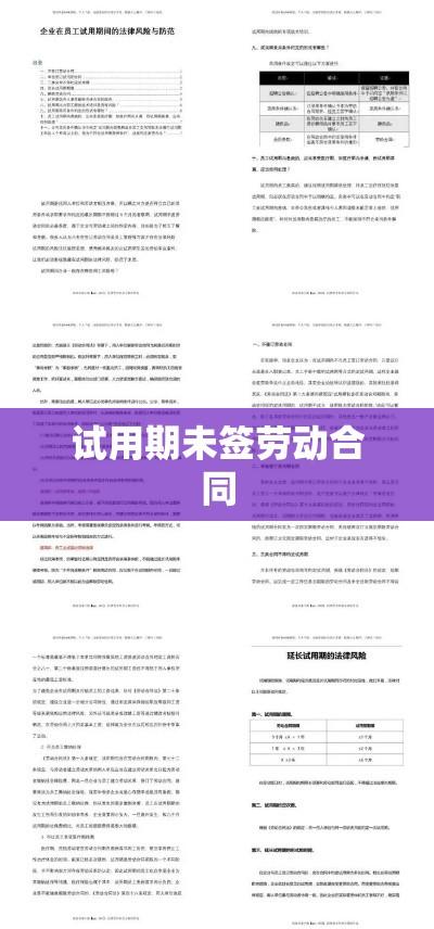 试用期未签劳动合同，职场新人的权益保障与风险解析  第1张