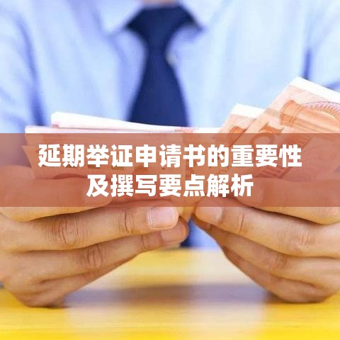 延期举证申请书的重要性及撰写要点解析  第1张