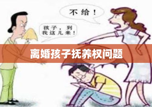 离婚孩子抚养权问题的深度解析与探讨  第1张