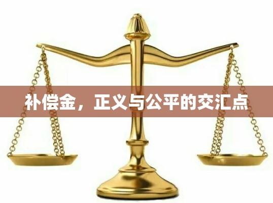 补偿金，正义与公平的交汇点  第1张