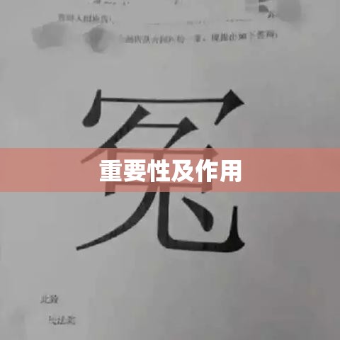 民事诉讼答辩状范文详解，揭示其重要性及作用  第1张