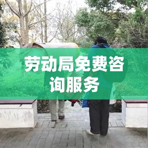 劳动局免费咨询服务，解决民众就业与劳动问题的关键桥梁  第1张