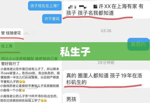 私生子能否分家产？法律规定与实际操作解读  第1张