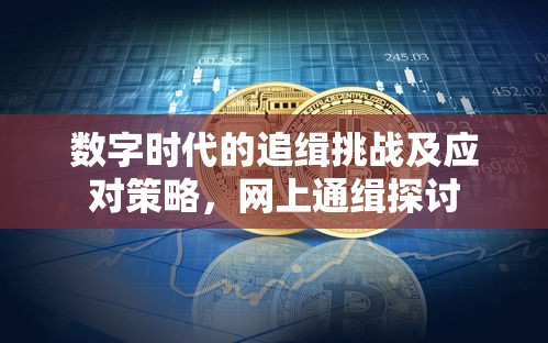 数字时代的追缉挑战及应对策略，网上通缉探讨  第1张